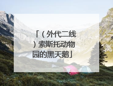 （外代二线）索斯托动物园的黑天鹅